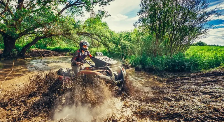 ATV Phuket Experience Unlocking the Best Jungle Views in Thailand | Denz Coworking Cafe