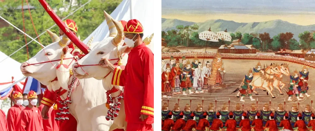 Royal Ploughing Ceremony Day | Denz Coworking Cafe Phuket
