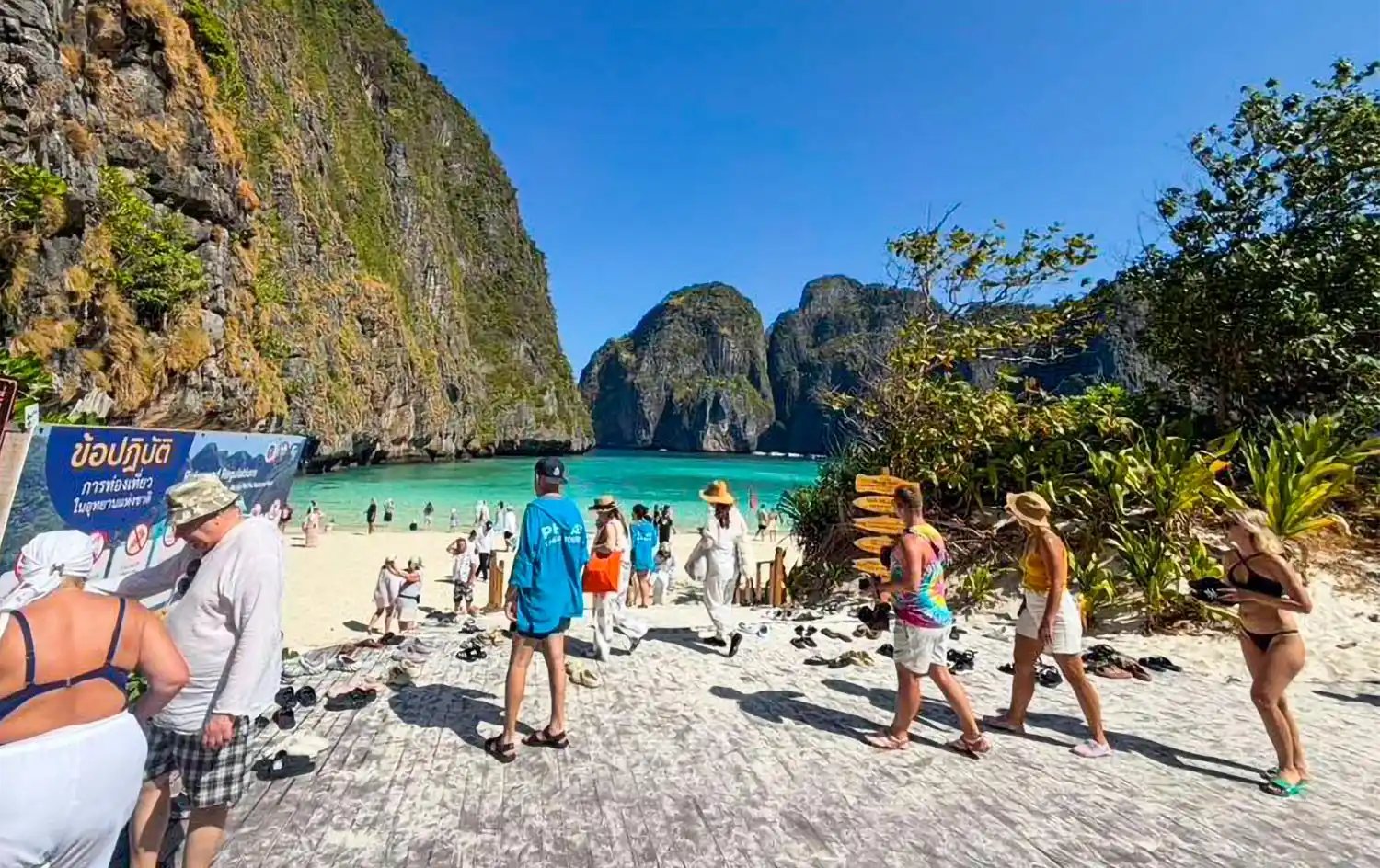 Best Time to Visit Phuket | Denz Coworking Cafe Phuket