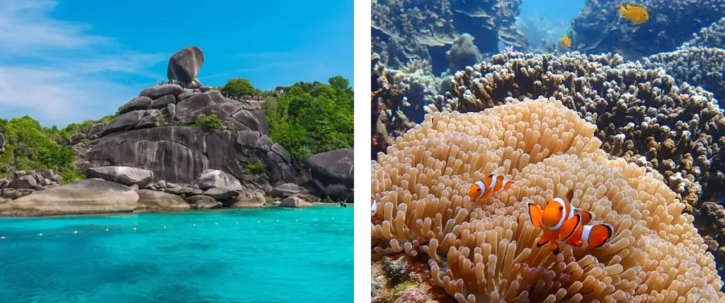 Similan Islands Reopening | Denz Coworking Cafe Phuket